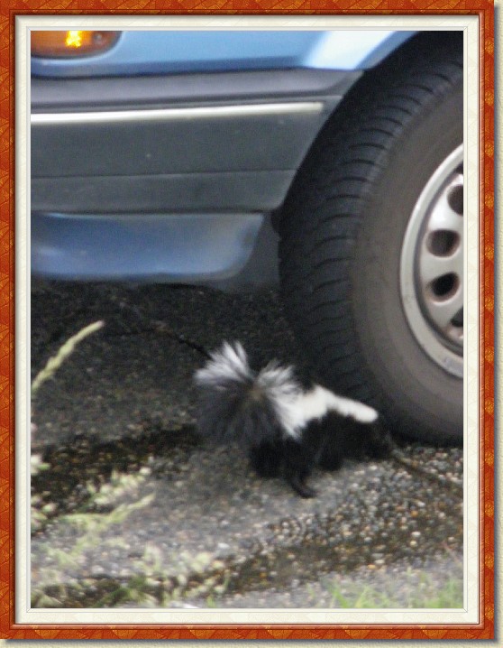 Click for the original image