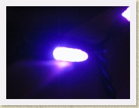 IMG_2708_Christmas_lights_ext_2009 * One LED light. * One LED light. * 3648 x 2736 * (1.93MB)