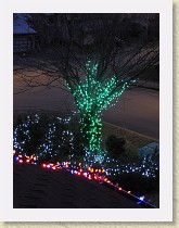 IMG_0033_Christmas_lights * Christmas lights 2010 * Christmas lights 2010 * 2736 x 3648 * (2.42MB)