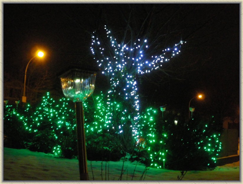 Click for the original image