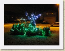 IMGP3389_Christmas_lights * Christmas lights * Christmas lights * 3264 x 2448 * (1.94MB)