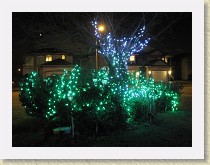 IMG_6405_Christmas_lights * Christmas lights * Christmas lights * 3648 x 2736 * (2.69MB)