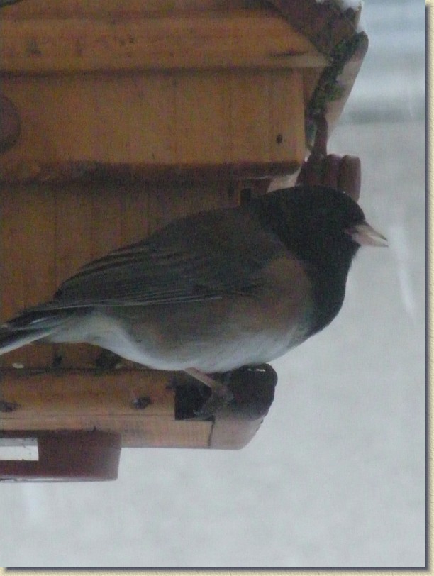 Click for the original image