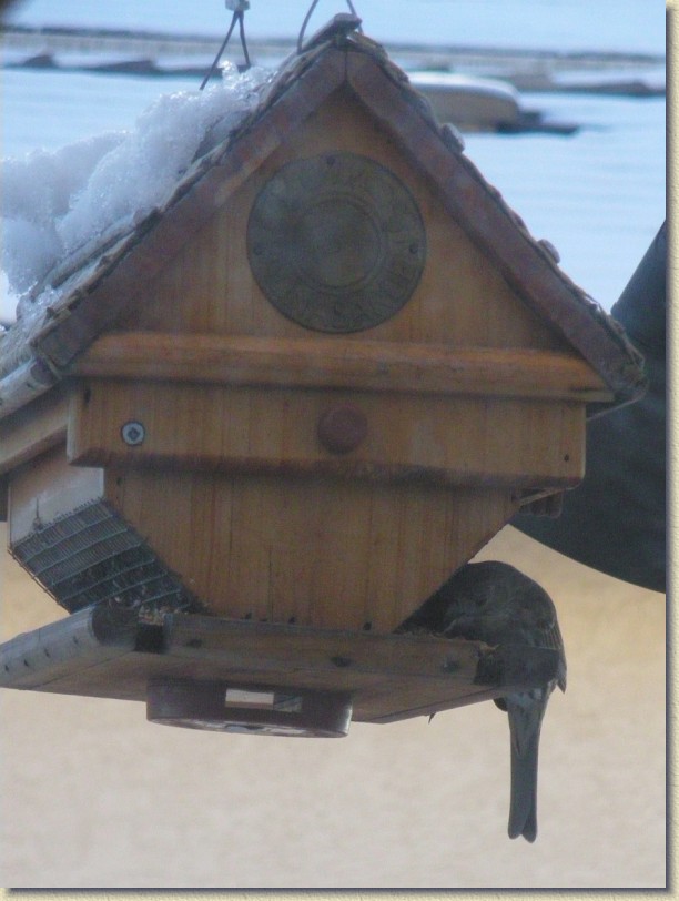 Click for the original image