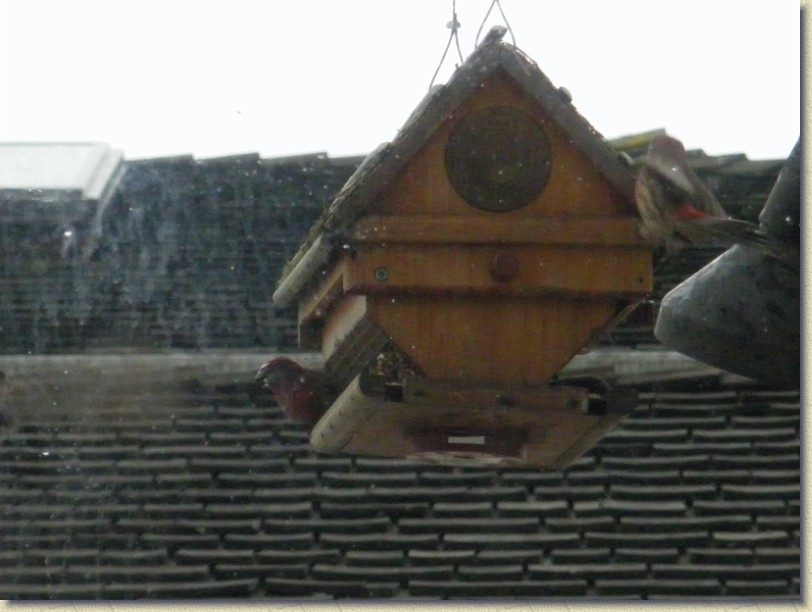 Click for the original image