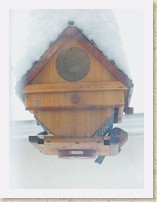 IMGP1736_bird_male_House_Finch * Backyard Bird FeederMale House Finch. Info. * Backyard Bird FeederMale House Finch. Info. * 2448 x 3264 * (752KB)