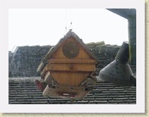 IMGP2718_bird_L_male_House_Finch_R_House_Finch * Backyard Bird FeederLeft: male House Finch. Right: unidentified House Finch. Info. * Backyard Bird FeederLeft: male House Finch. Right: unidentified House Finch. Info. * 3264 x 2448 * (984KB)