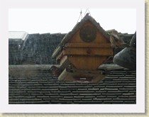 IMGP2719_bird_2_male_House_Finches * Backyard Bird FeederTwo male House Finches. Info. * Backyard Bird FeederTwo male House Finches. Info. * 3264 x 2448 * (929KB)