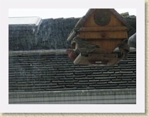 IMGP2720_bird_House_Finches * Backyard Bird FeederLeft: male House Finch. Centre: female House Finch. Right: unidentified House Finch. Info. * Backyard Bird FeederLeft: male House Finch. Centre: female House Finch. Right: unidentified House Finch. Info. * 3264 x 2448 * (1.07MB)