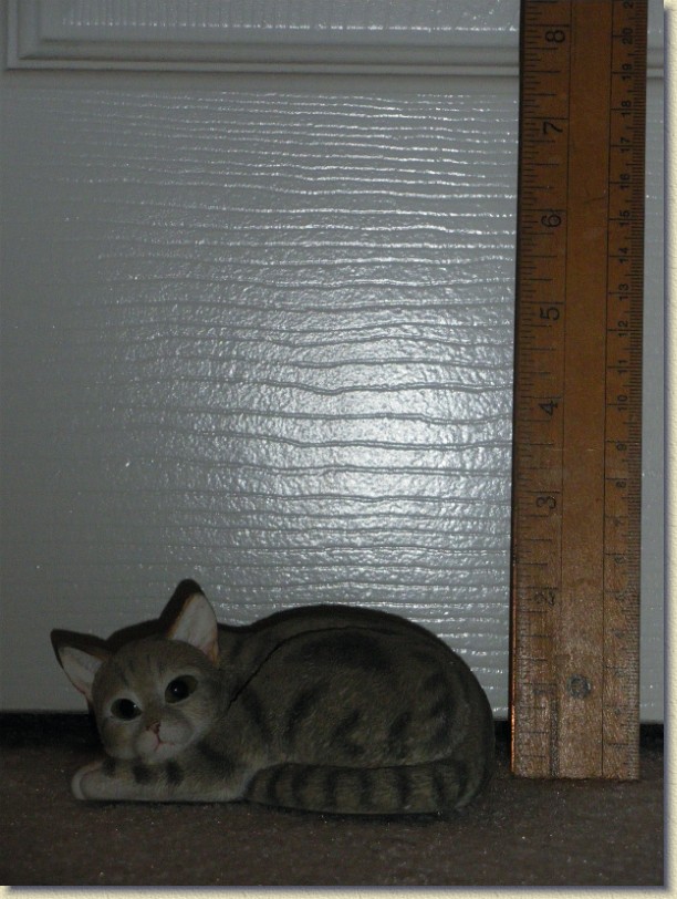 Click for the original image