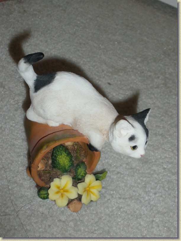 Click for the original image