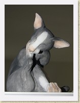 IMG_3861_cat_6 * stone resin cat #6, Border Fine Arts Studio A7598 The Preener (Grey) Tabby Cat; Character Collections January 2007/Feline Fun (Ocean Shores, WA; Dec. 2009) * stone resin cat #6, Border Fine Arts Studio A7598 The Preener (Grey) Tabby Cat; Character Collections January 2007/Feline Fun (Ocean Shores, WA; Dec. 2009) * 2736 x 3648 * (1.93MB)