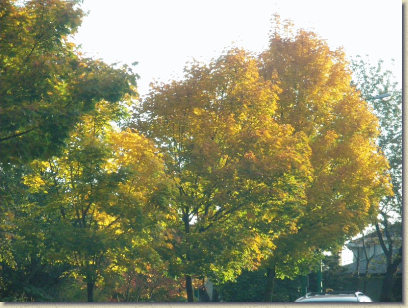 Click for the original image