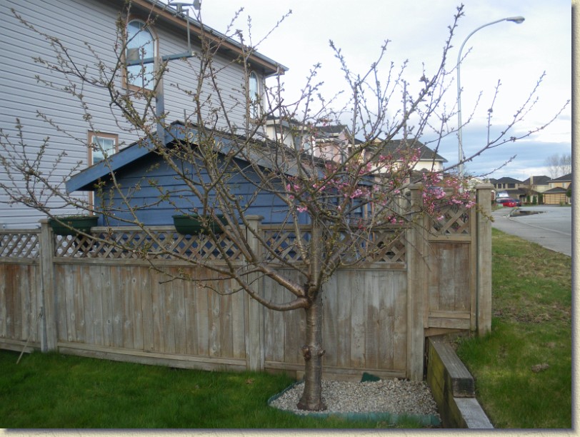 Click for the original image