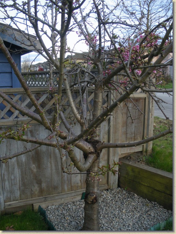 Click for the original image