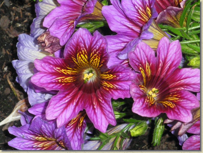 Click for the original image