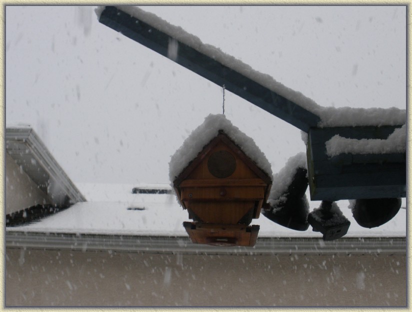 Click for the original image