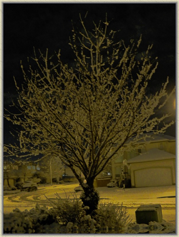 Click for the original image