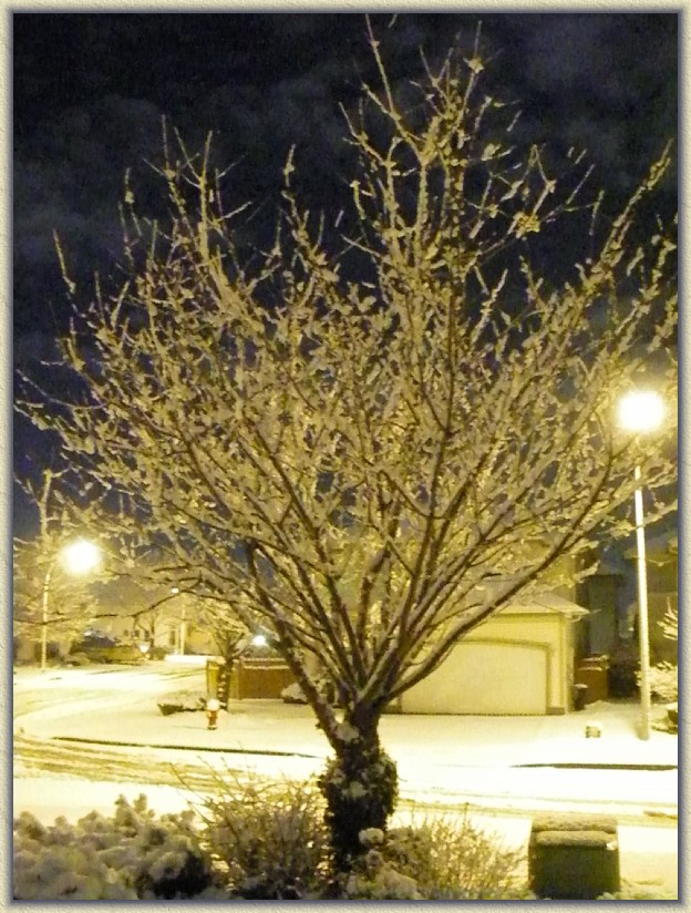 Click for the original image