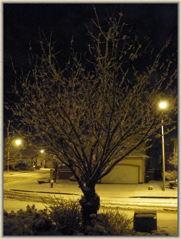 Click for the original image