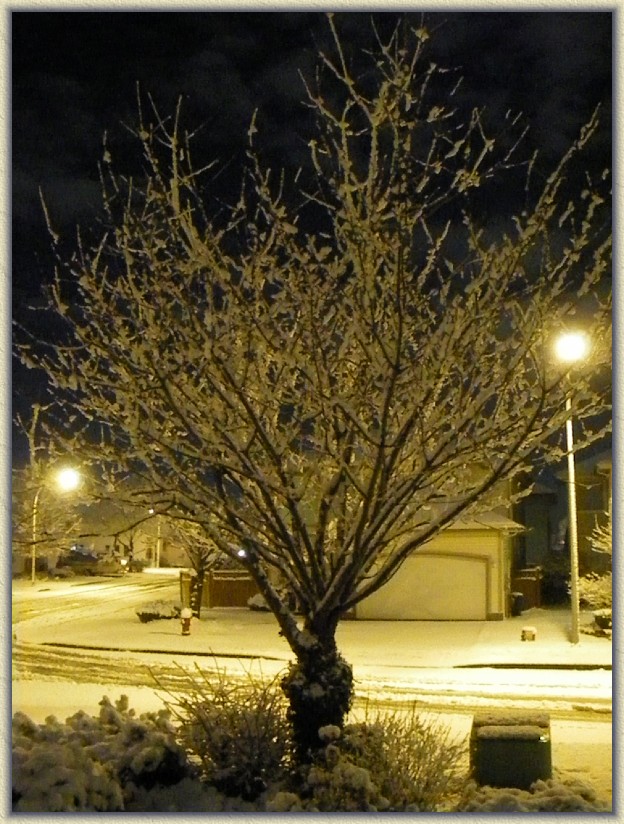 Click for the original image