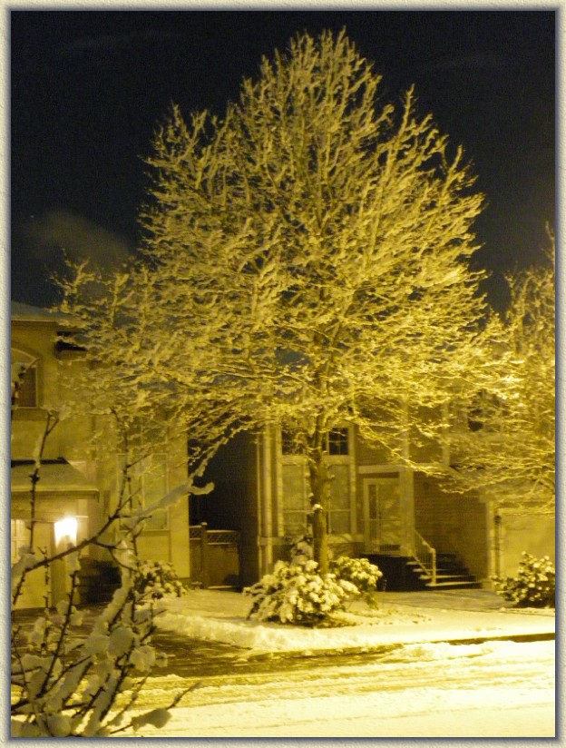 Click for the original image