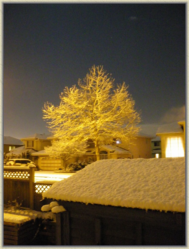 Click for the original image