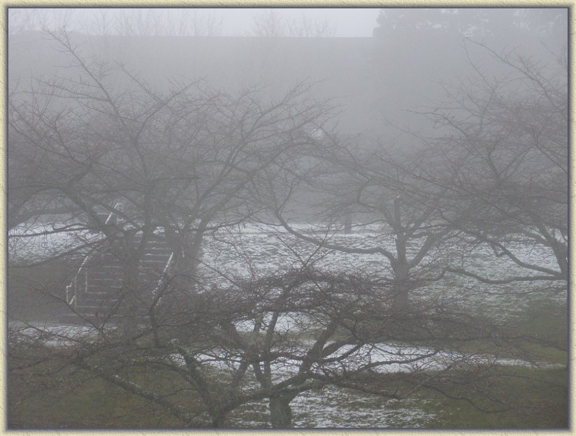 Click for the original image