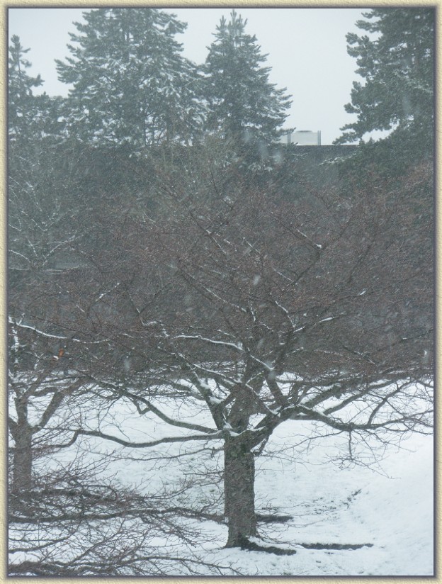 Click for the original image