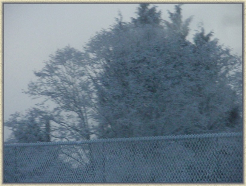 Click for the original image