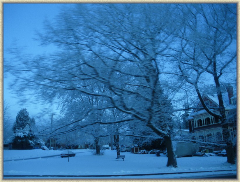 Click for the original image