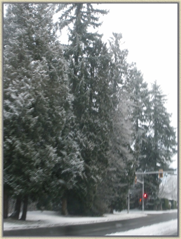 Click for the original image