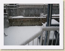 IMGP2037_snowing * snowing * snowing * 3264 x 2448 * (1.56MB)