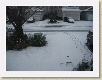 IMGP3375_dusting_of_snow * dusting of snow * dusting of snow * 3264 x 2448 * (2.17MB)