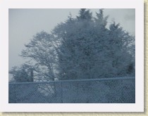 IMGP3398_snowy_trees * snowy trees * snowy trees * 3264 x 2448 * (1.82MB)