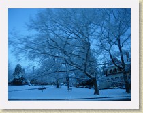 IMGP3401_snowy_trees * snowy trees * snowy trees * 3264 x 2448 * (1.89MB)