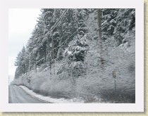 IMGP3403_snowy_trees * snowy trees * snowy trees * 3264 x 2448 * (1.52MB)