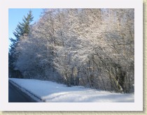 IMGP3408_snowy_trees * snowy trees * snowy trees * 3264 x 2448 * (1.75MB)